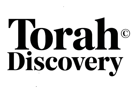 Torah Discovery